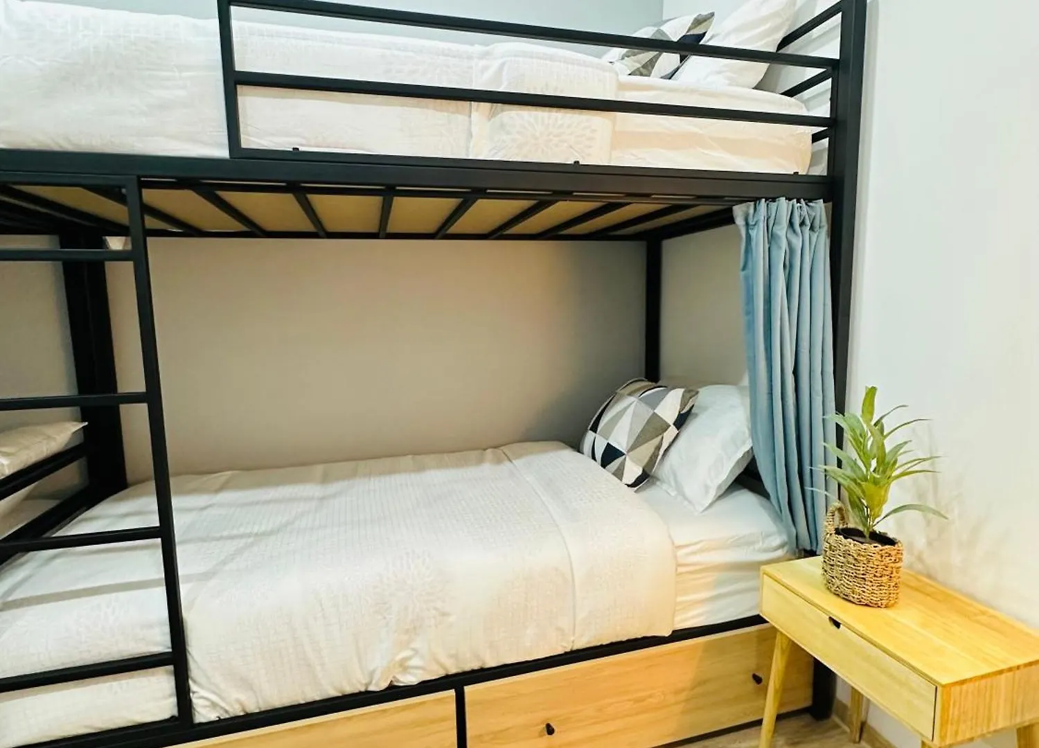 Cosy Koala Hostel Tbilisi